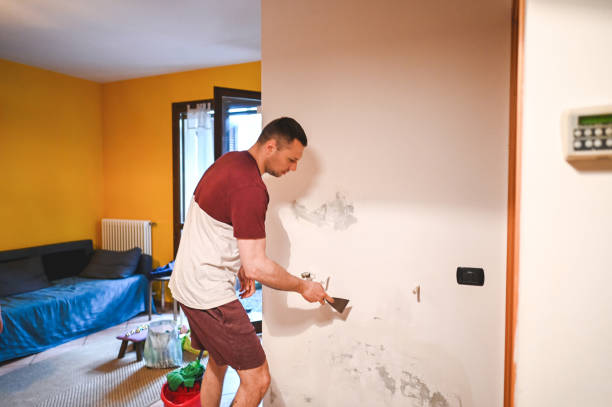 Best Local Mold Removal Service  in Thiensville, WI